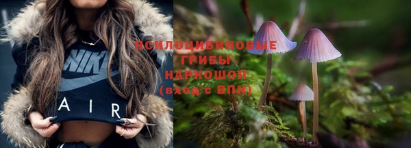 гашик Бронницы