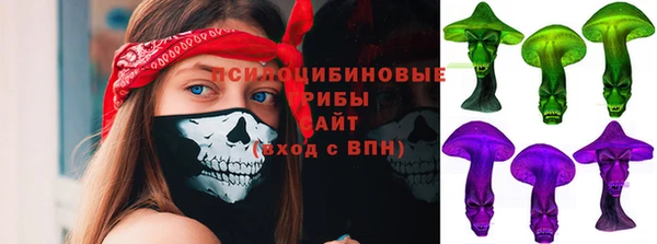 МДПВ Бугульма