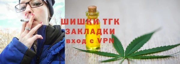 шишки Бородино