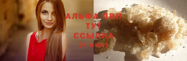 шишки Бородино