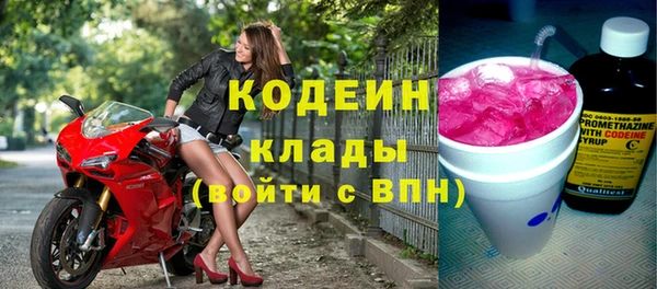 шишки Бородино