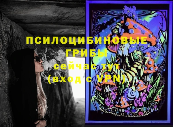 гашик Бронницы