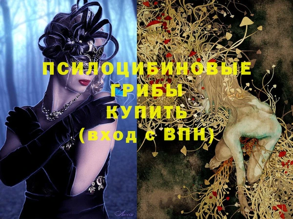 шишки Бородино