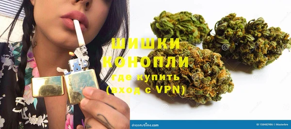 шишки Бородино