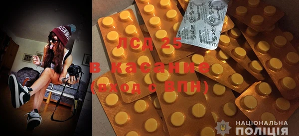 шишки Бородино