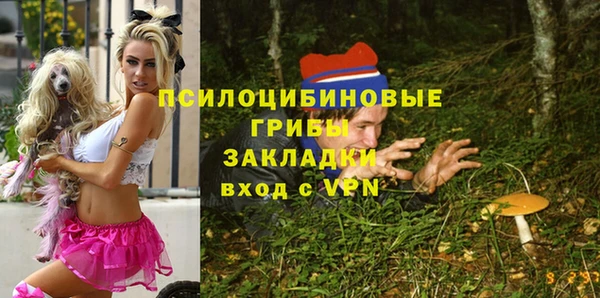 гашик Бронницы